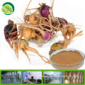 GMP factory supply nature maca extract powder